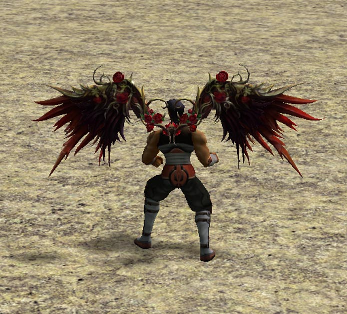 Small Image