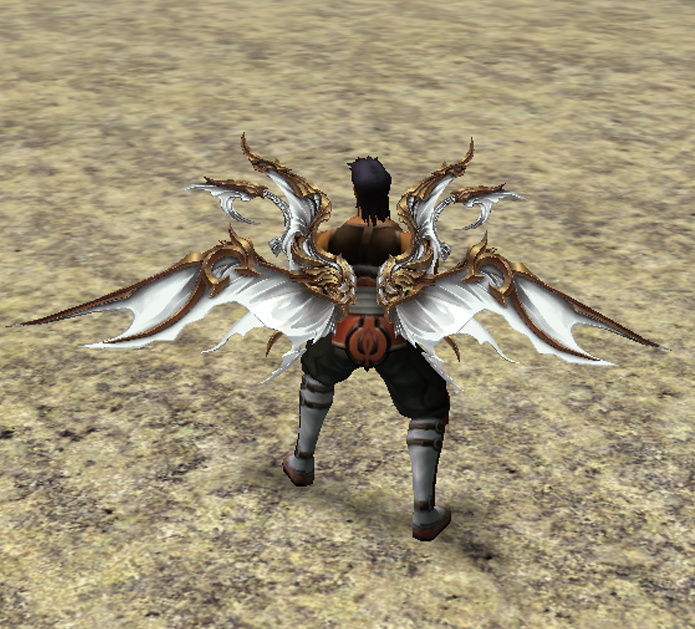 Small Image